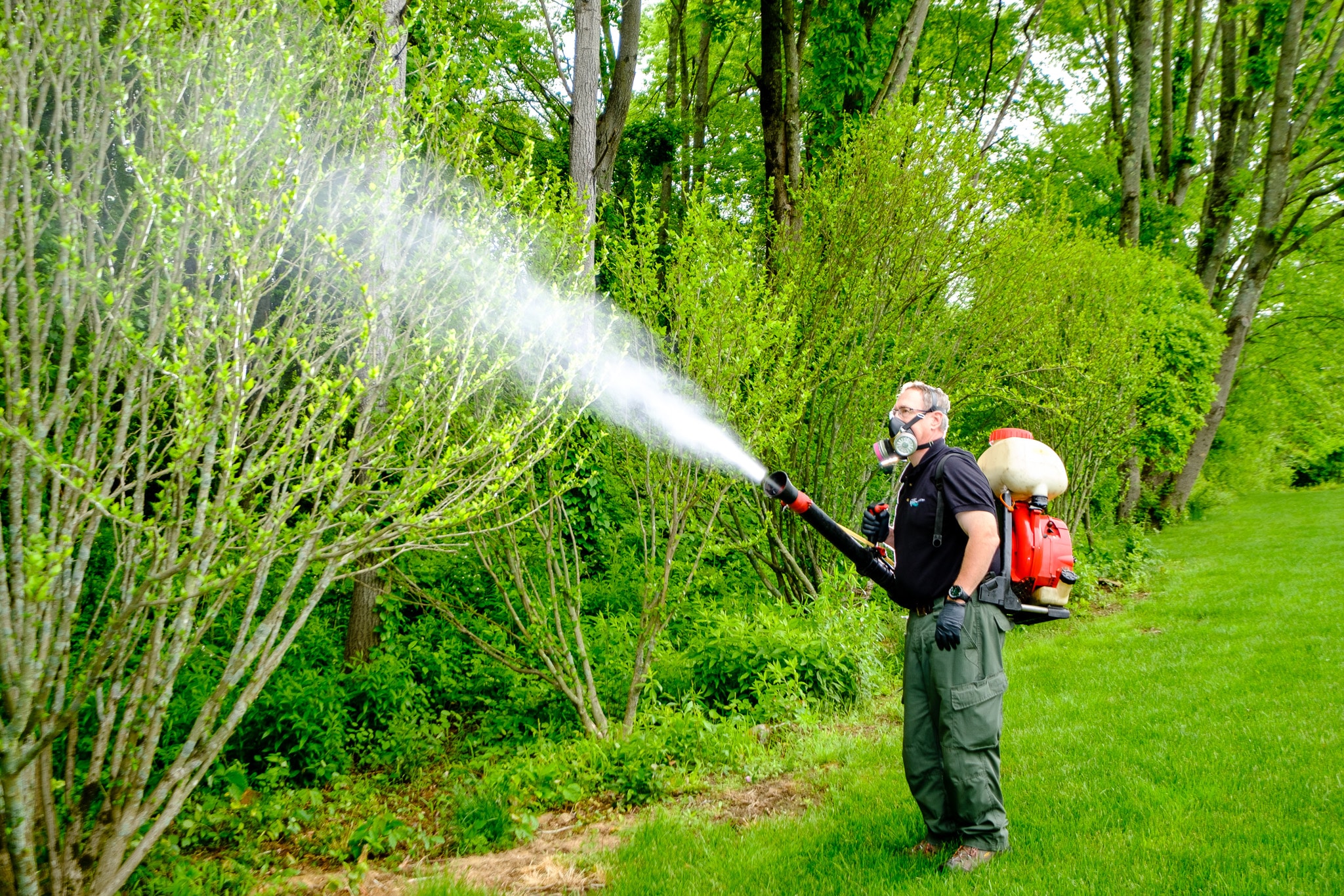 Mosquito control service